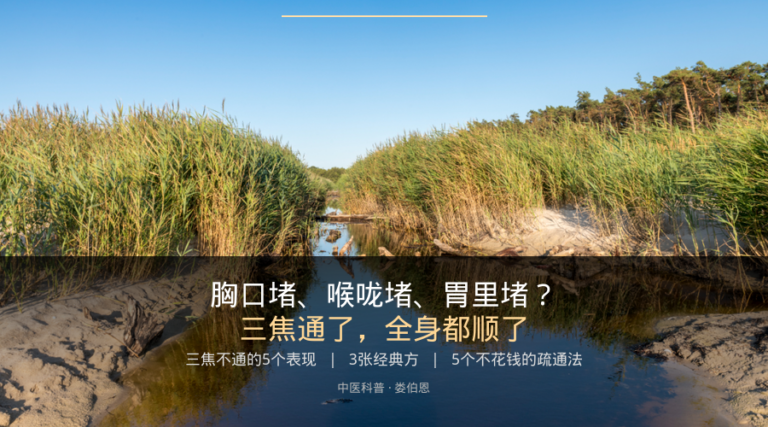胸口堵、喉咙堵、胃堵？三焦通了，全身都顺了